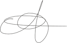 Amanda Rubin’s signature