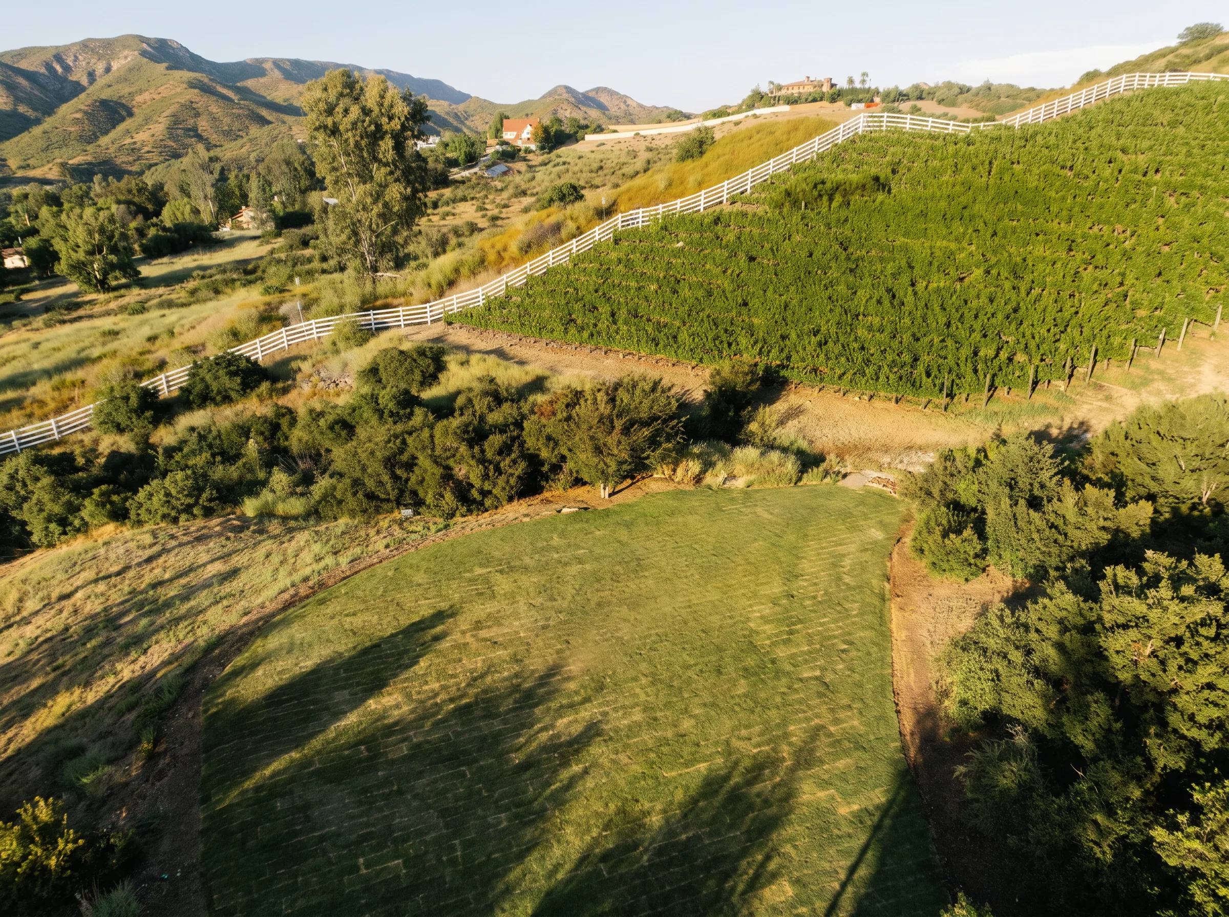 Aerial view of the hillside vineyard with the white fence line below