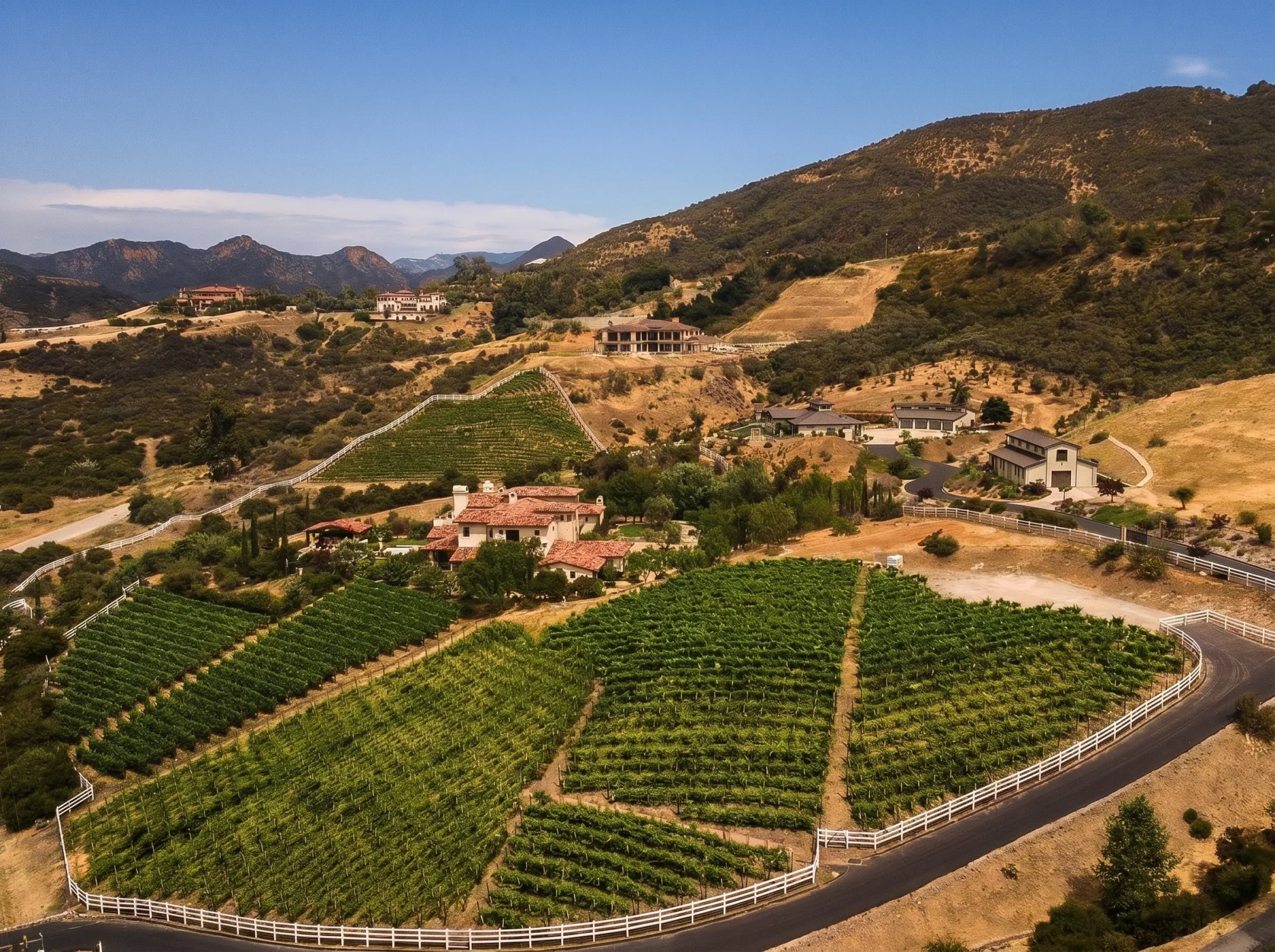 Aerial view of the AJA estate vineyard with the Malibu mountains behind